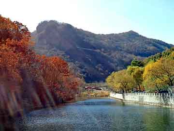 管家婆黑白马报图库，露地大葱种植技术视频